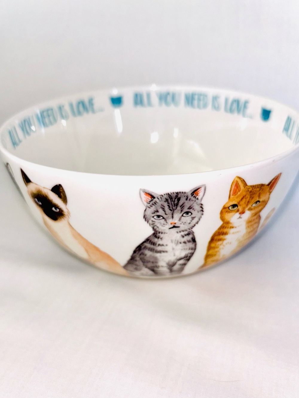 Portobello by Inspire Cats Cereal Bowl Bone China Ginger Siamese Calico Cat